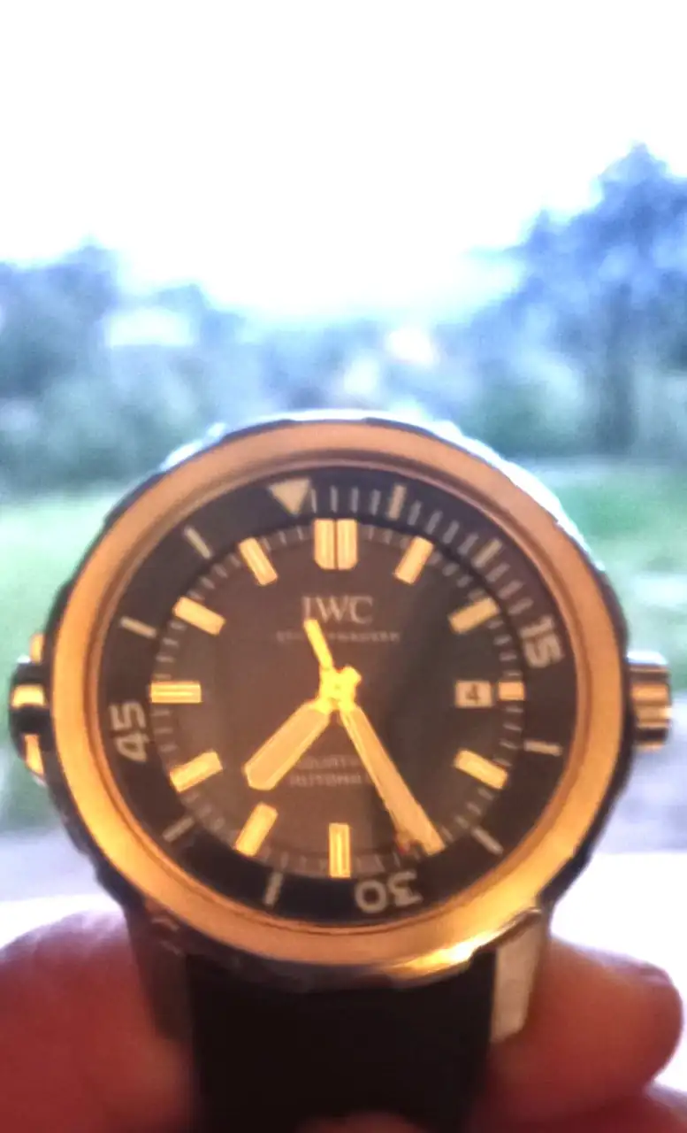 WhatsApp Image 2024-11-04 at 07.29.59 (1).webp