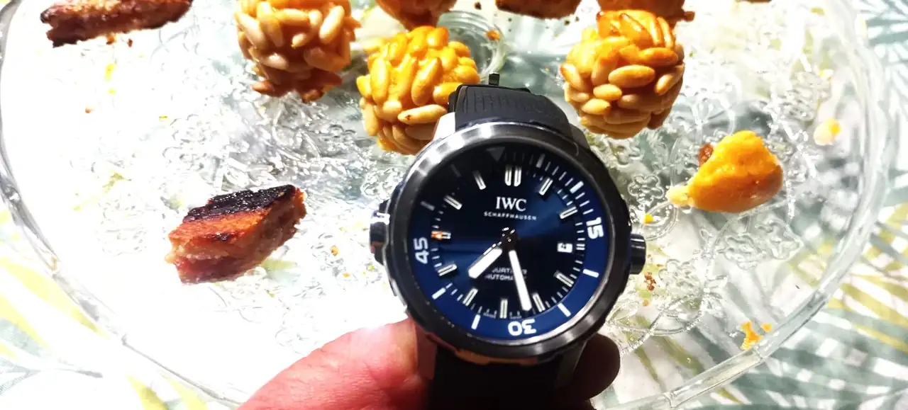 WhatsApp Image 2024-11-04 at 07.29.59.webp