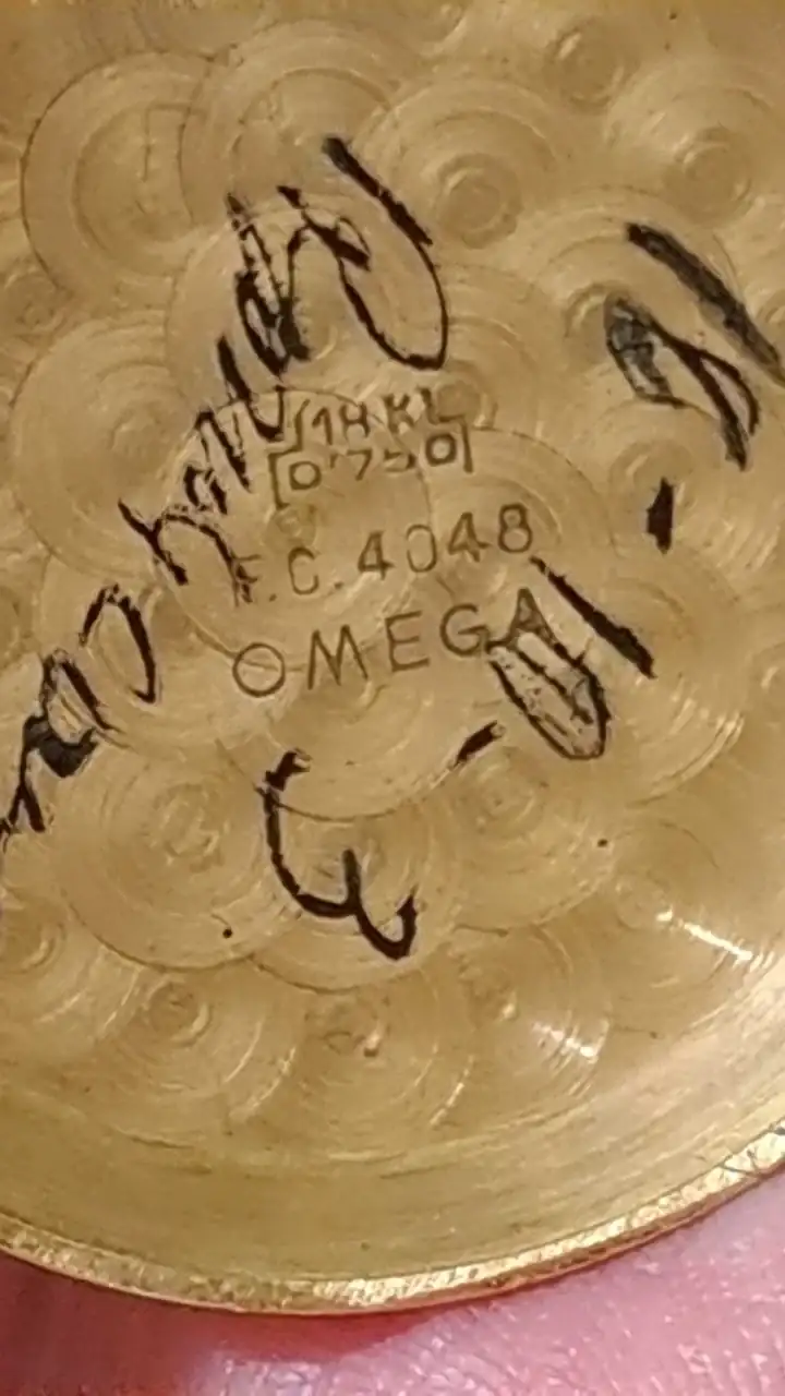 WhatsApp Image 2024-12-06 at 10.50.01 (2).webp