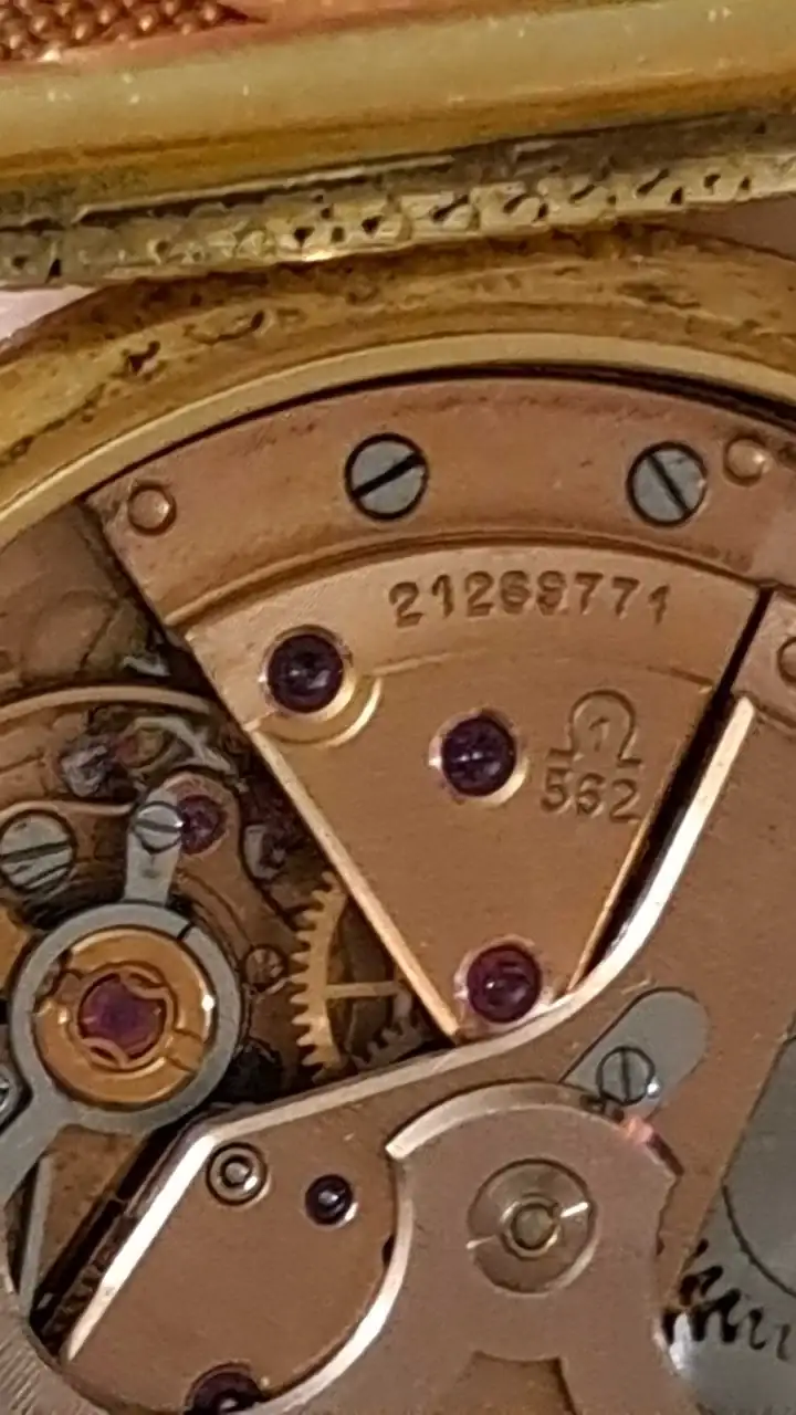 WhatsApp Image 2024-12-06 at 10.50.01 (3).webp