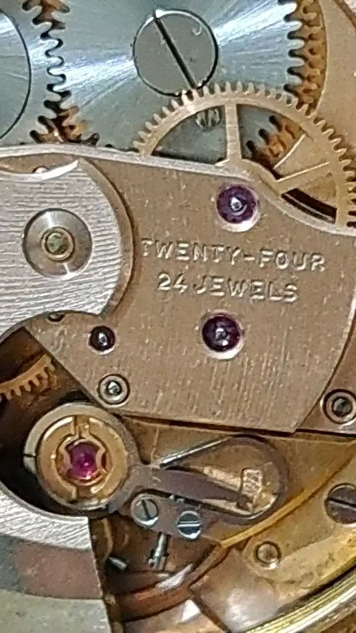 WhatsApp Image 2024-12-06 at 10.50.01 (4).webp