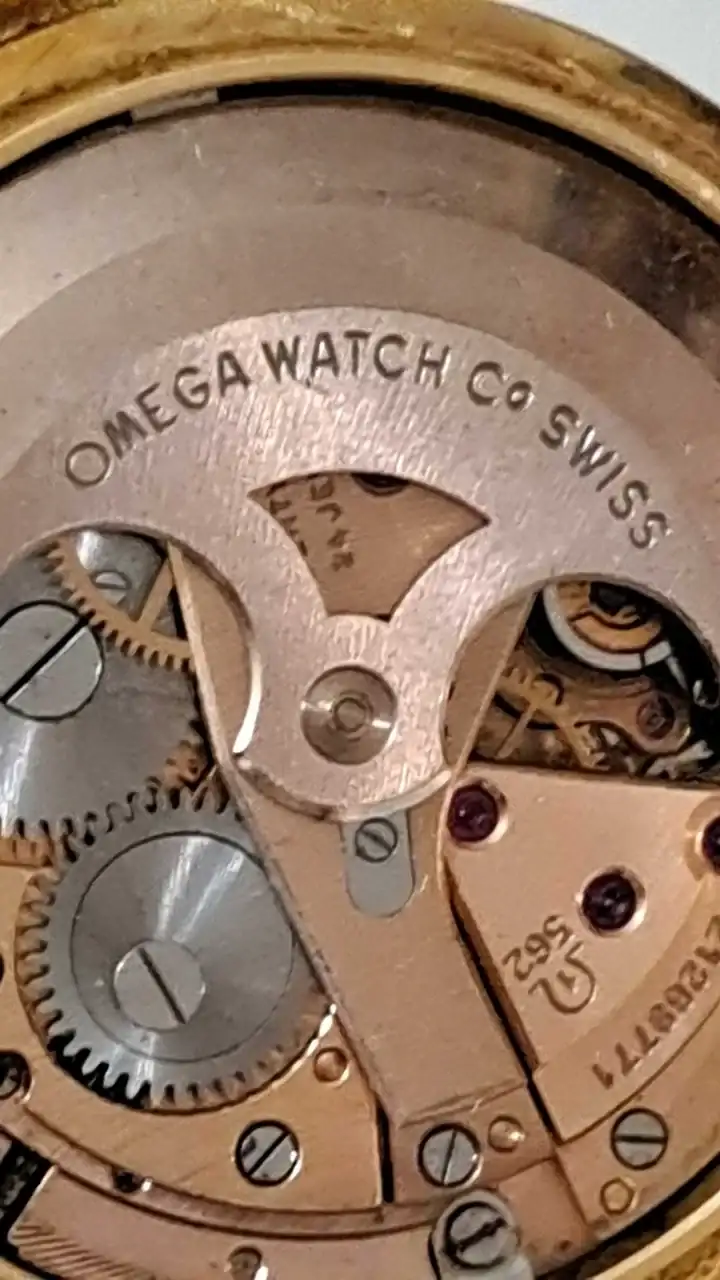 WhatsApp Image 2024-12-06 at 10.50.01.webp