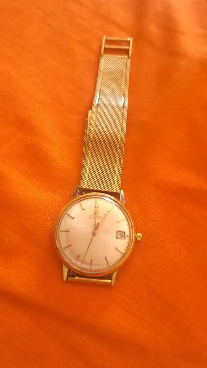 WhatsApp Image 2024-12-06 at 10.50.27.webp