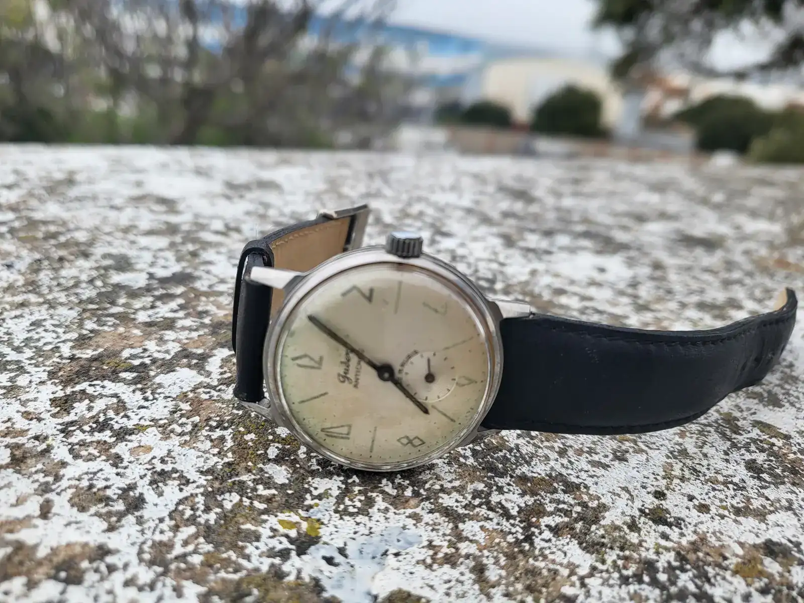 WhatsApp Image 2025-04-11 at 21.40.46 (1).webp