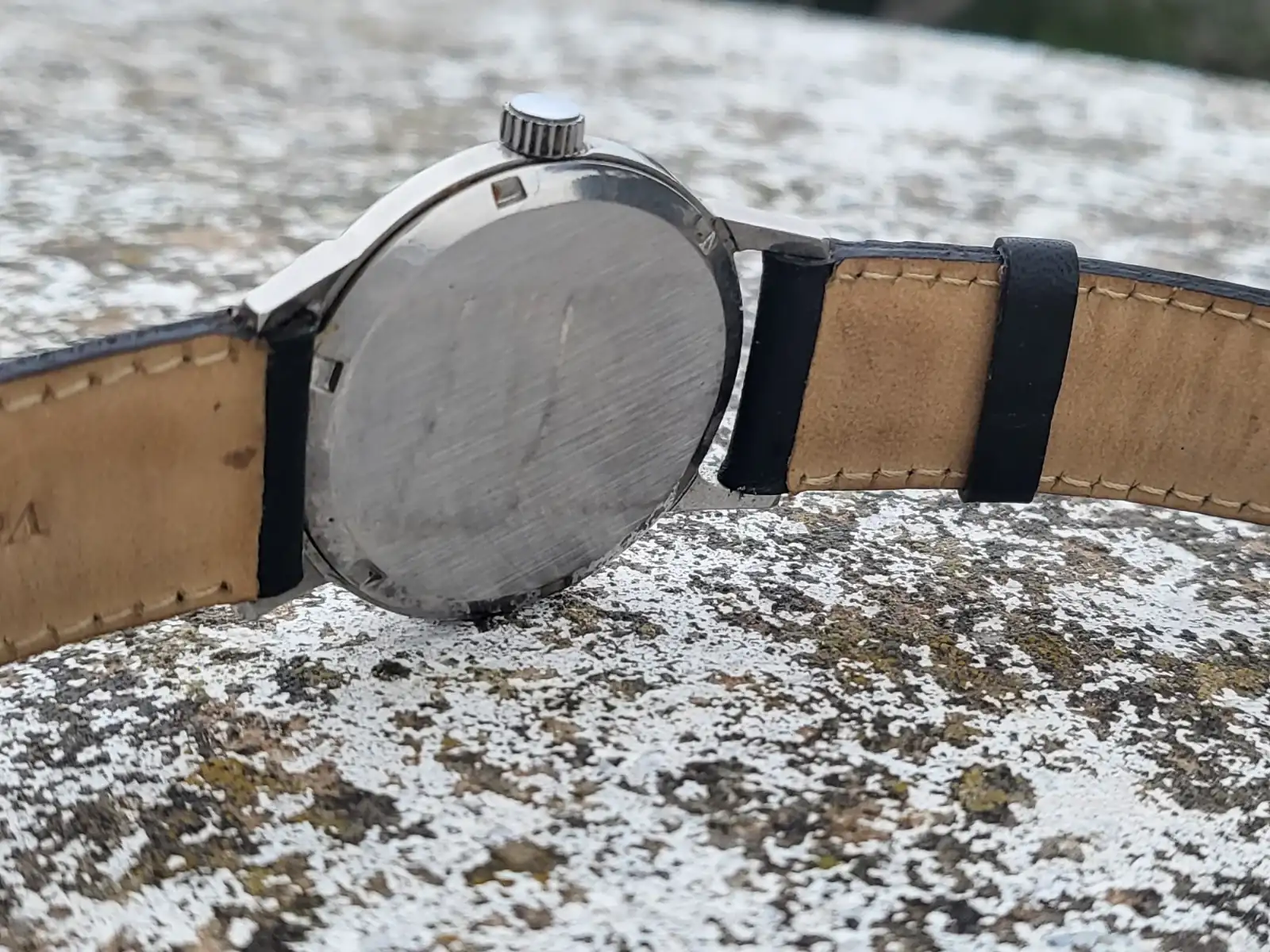 WhatsApp Image 2025-04-11 at 21.40.47.webp