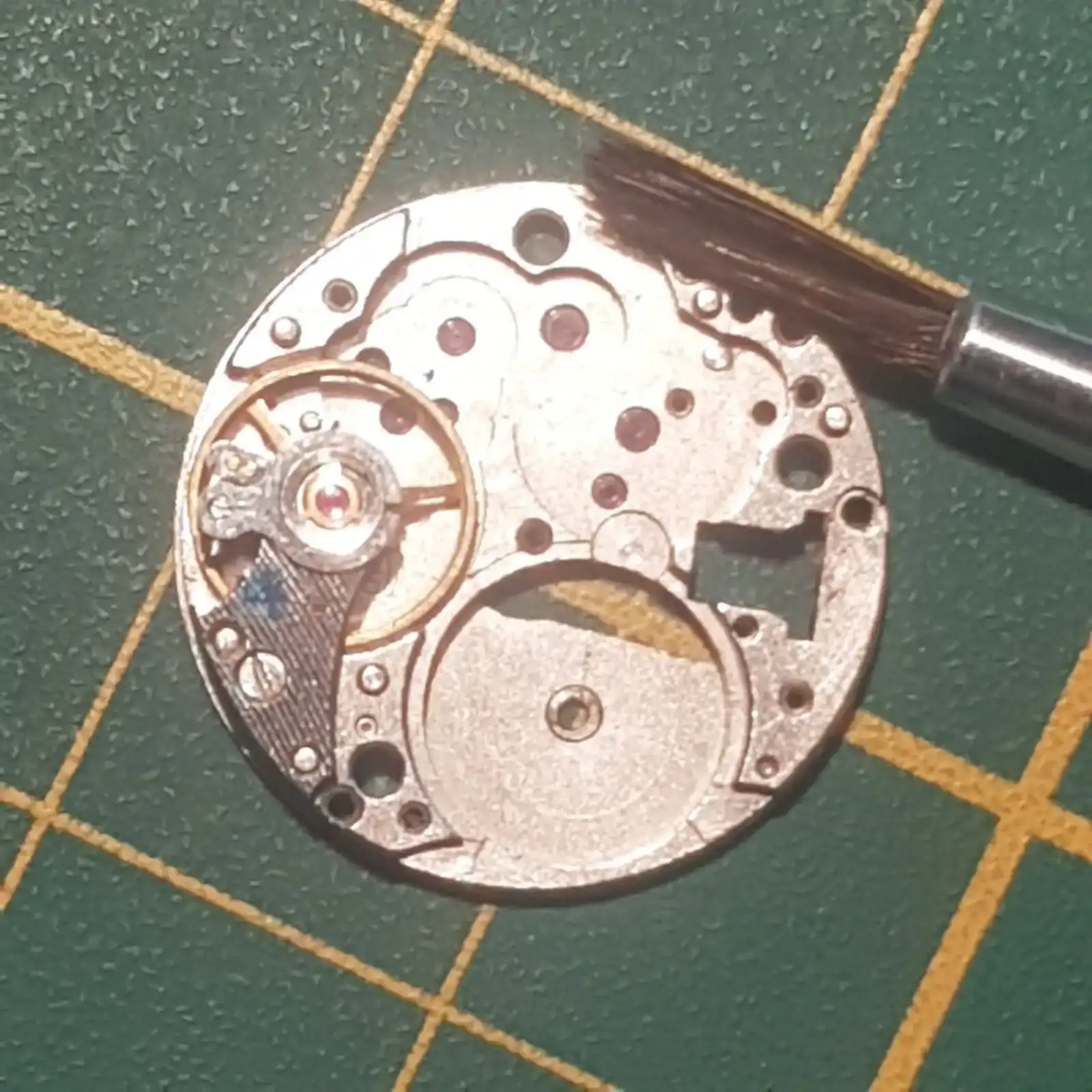 WhatsApp Image 2025-04-18 at 18.09.19 (1).webp