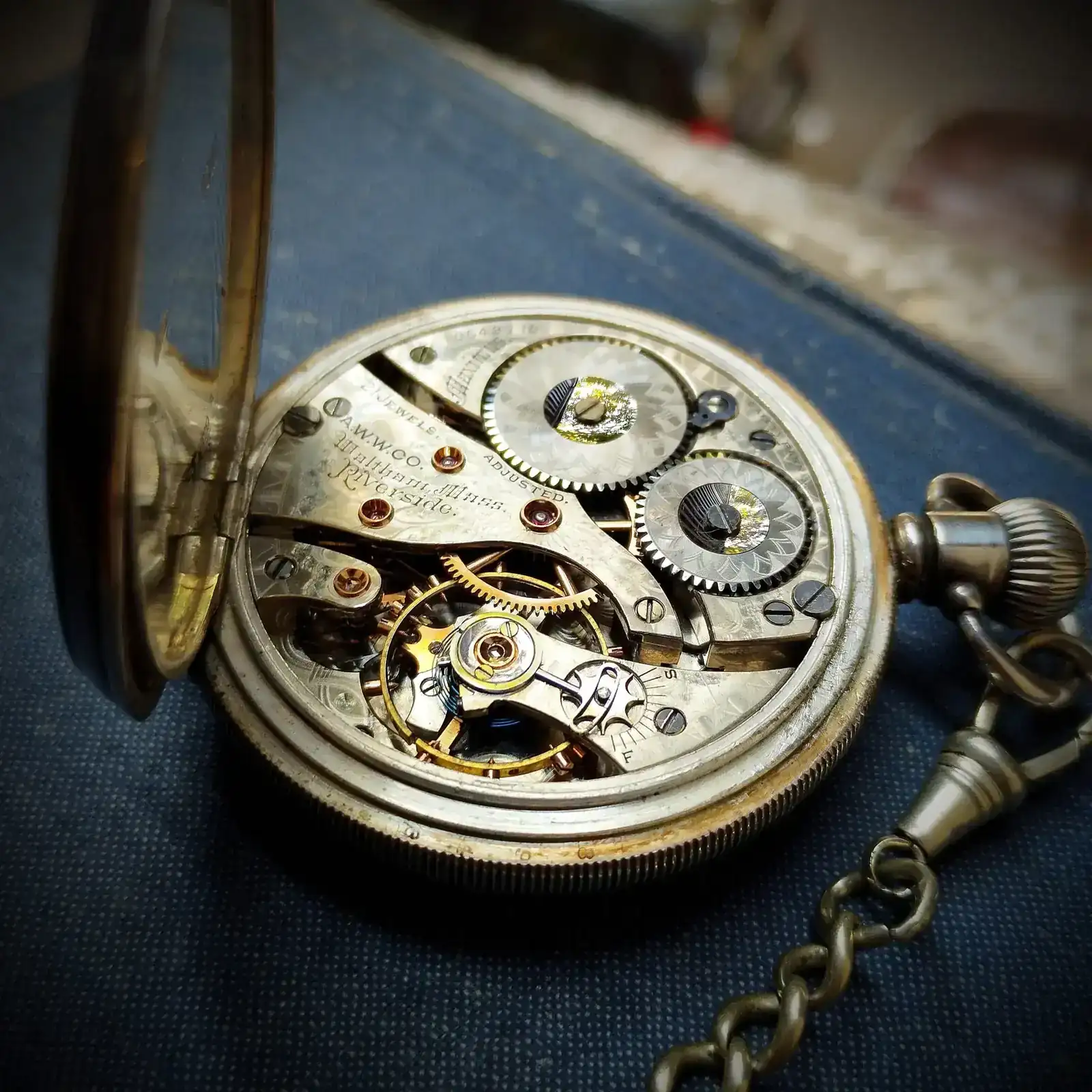 WhatsApp Image 2025-11-02 at 12.14.13.webp