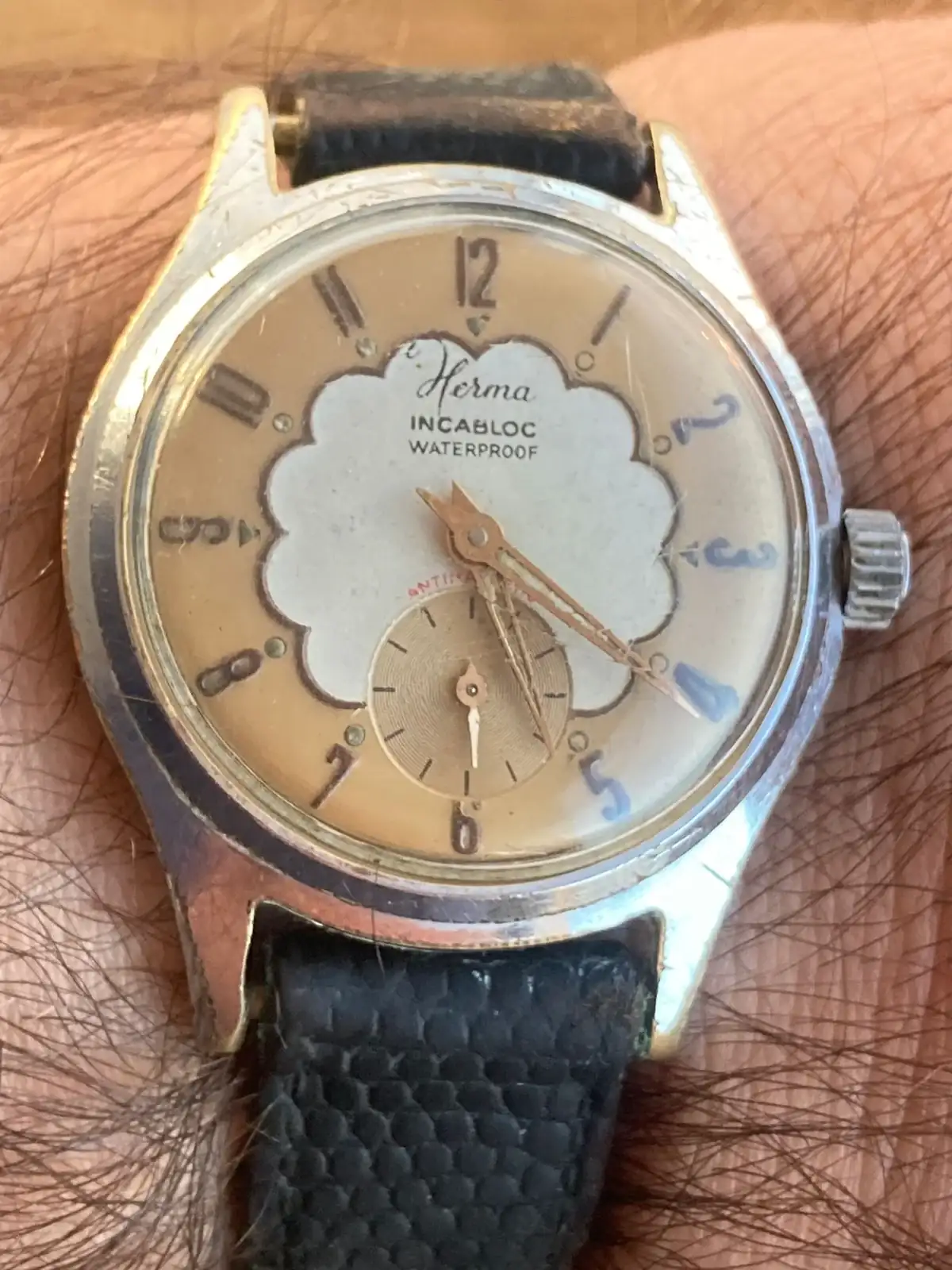 WhatsApp Image 2025-11-05 at 17.30.55.webp