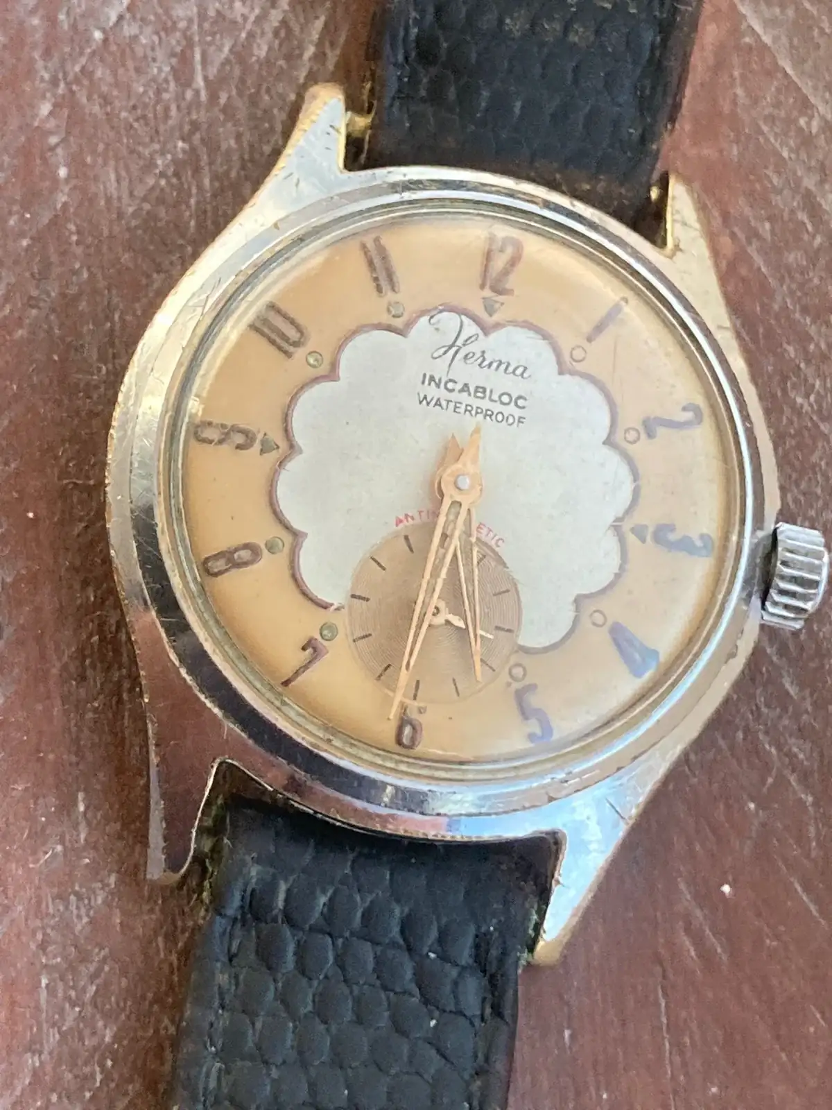 WhatsApp Image 2025-11-05 at 17.33.56.webp