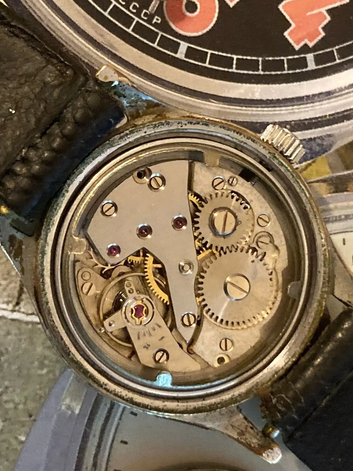 WhatsApp Image 2025-11-05 at 19.33.51.webp