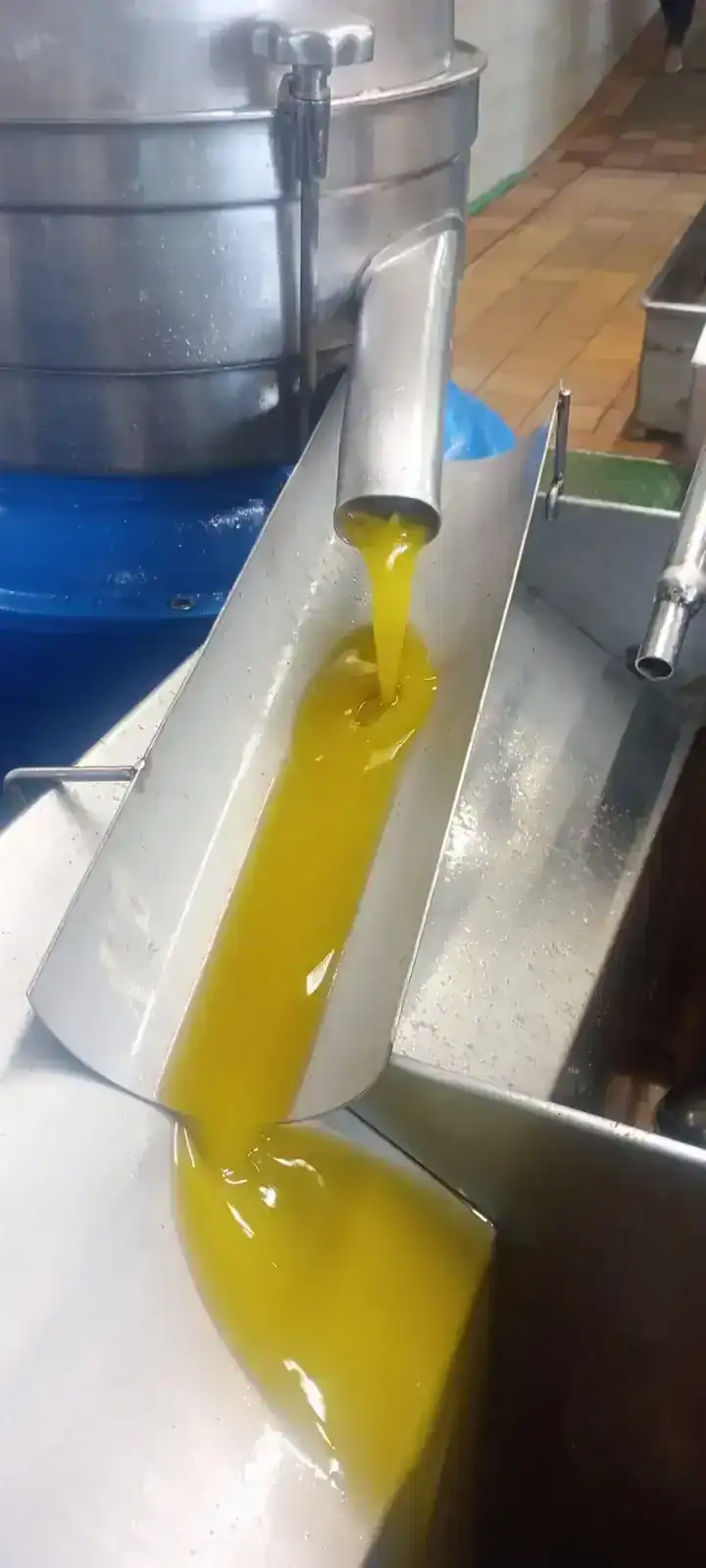 WhatsApp Image 2025-11-24 at 19.45.31.webp