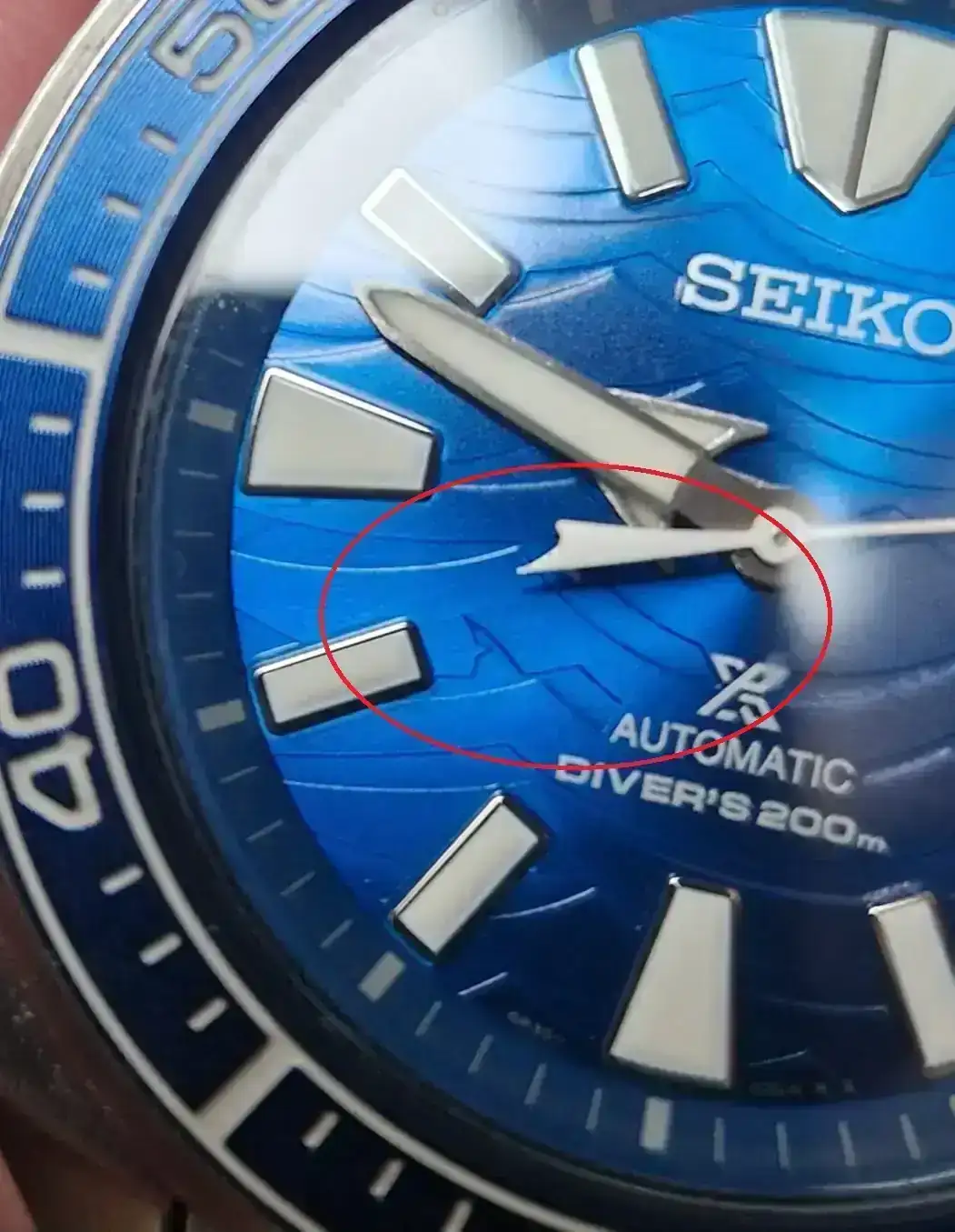 WhatsApp Image 2025-12-01 at 12.22.54.webp