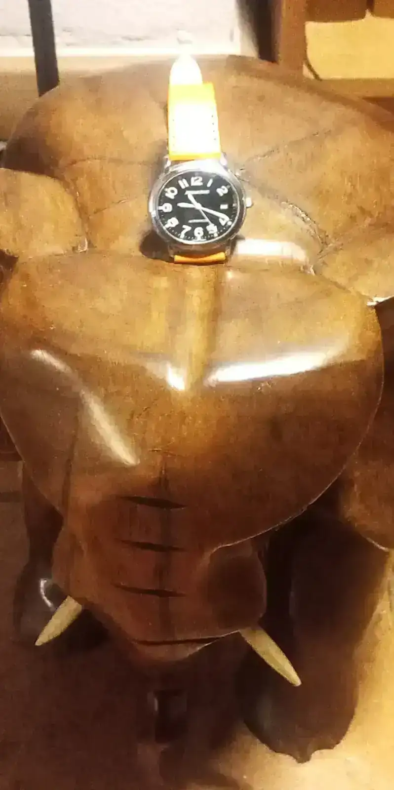 WhatsApp Image 2025-12-08 at 09.20.29.webp