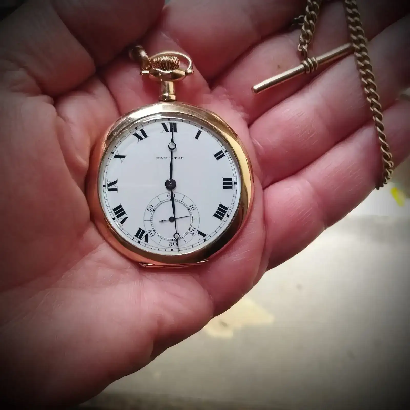 WhatsApp Image 2025-12-14 at 12.31.39.webp