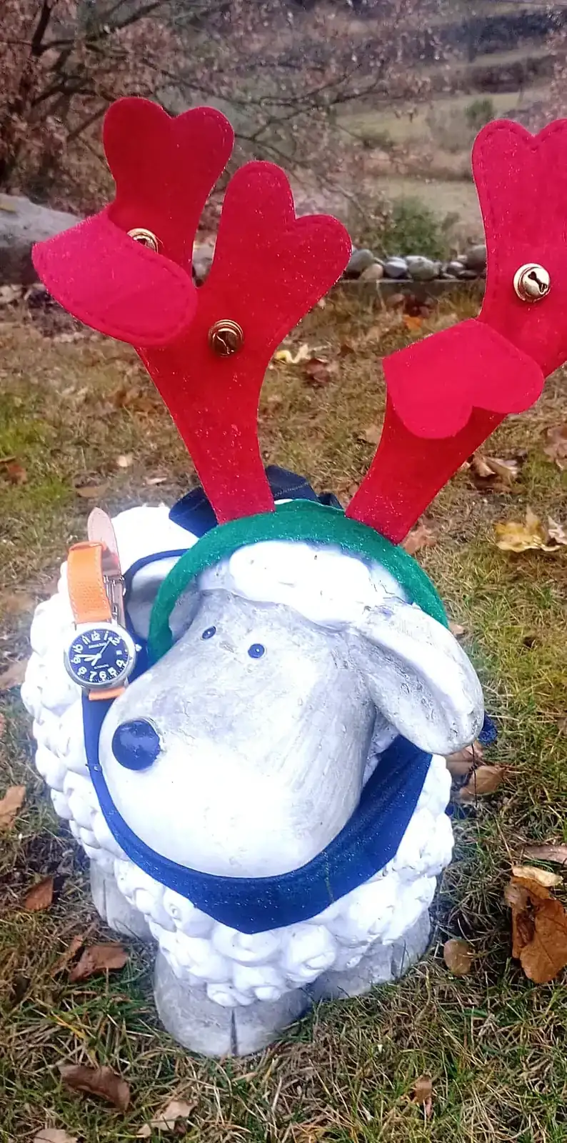 WhatsApp Image 2025-12-15 at 08.48.24.webp