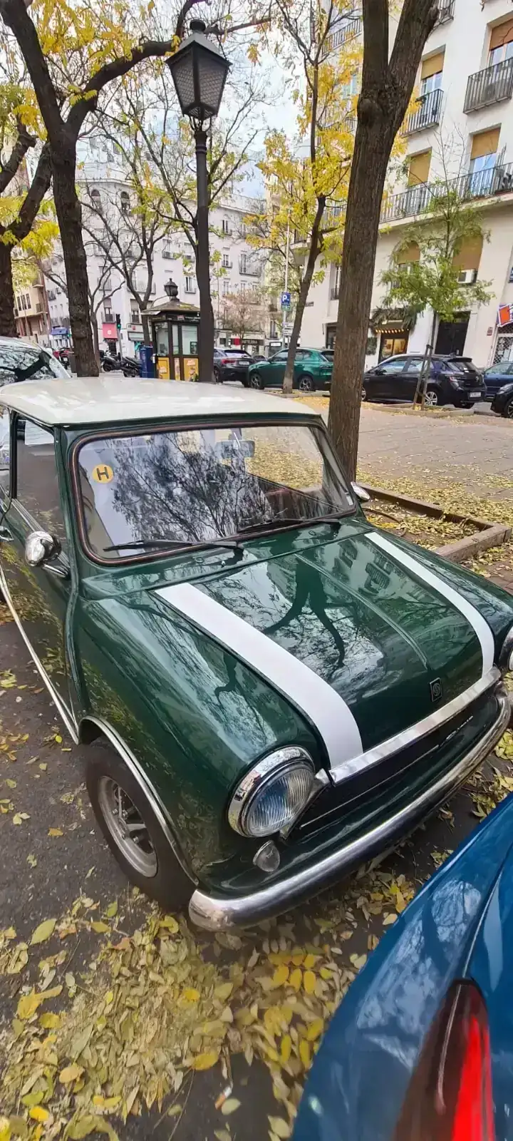 WhatsApp Image 2025-12-19 at 18.22.34.webp