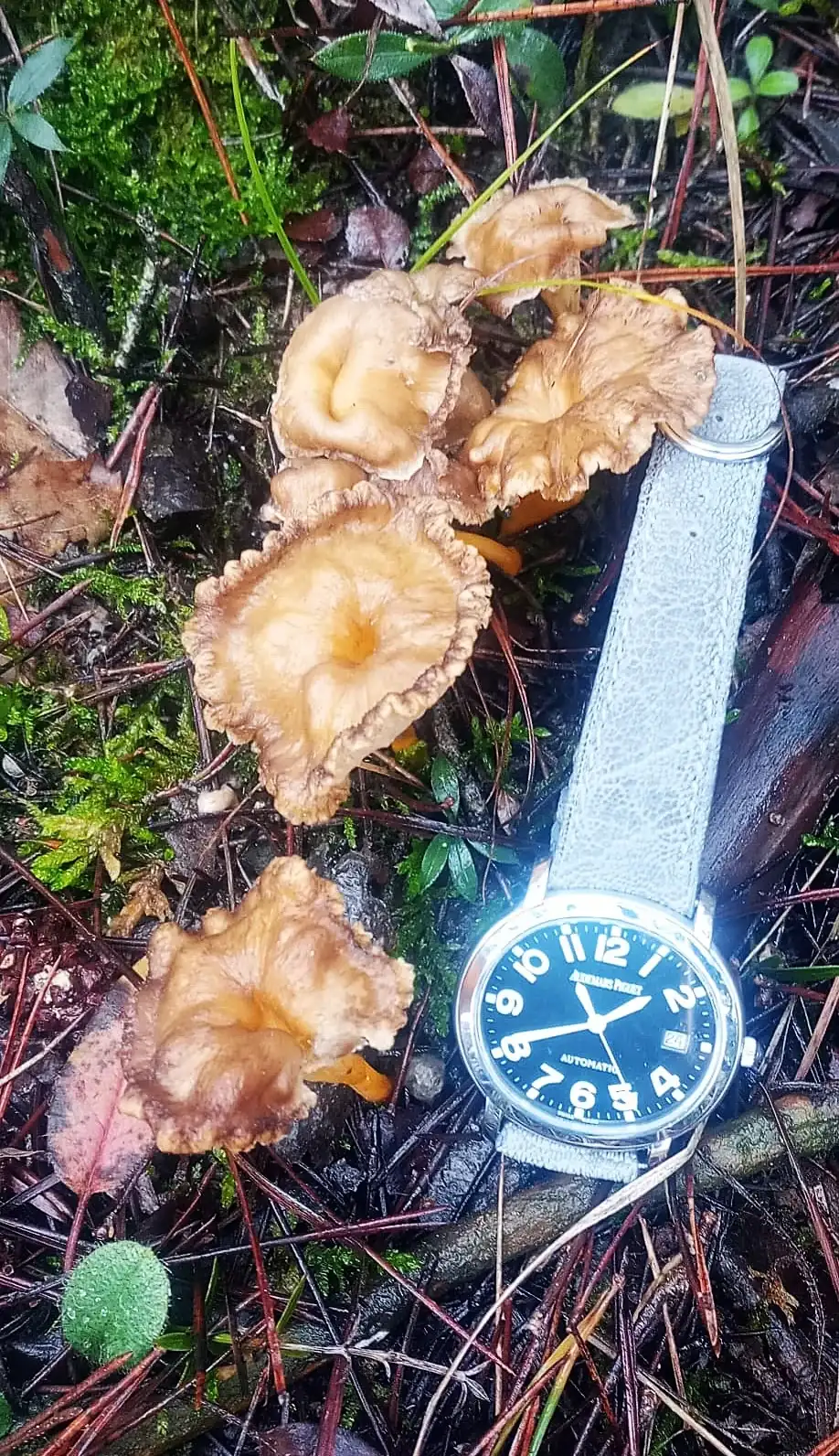 WhatsApp Image 2025-12-24 at 20.04.10.webp