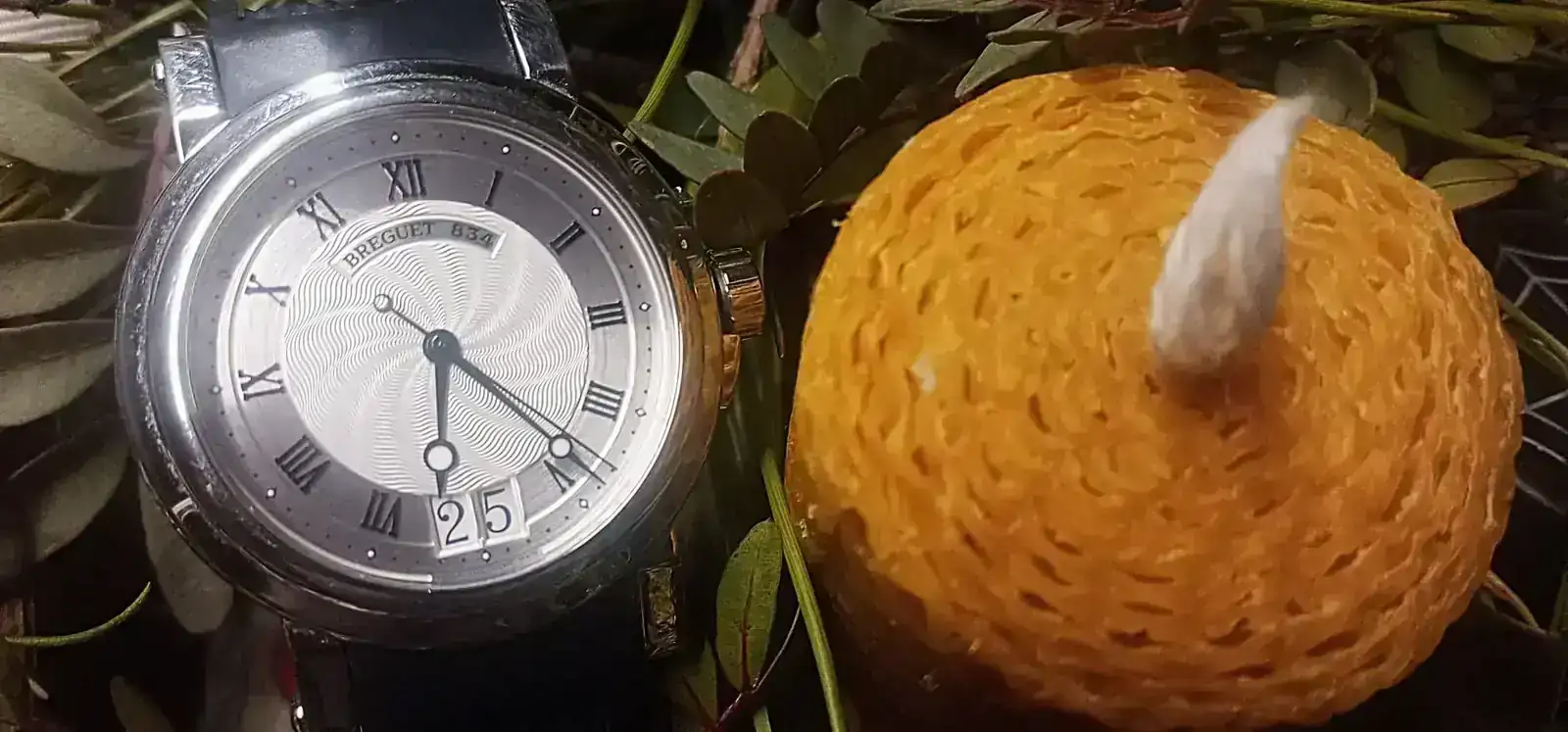 WhatsApp Image 2025-12-25 at 06.25.45.webp