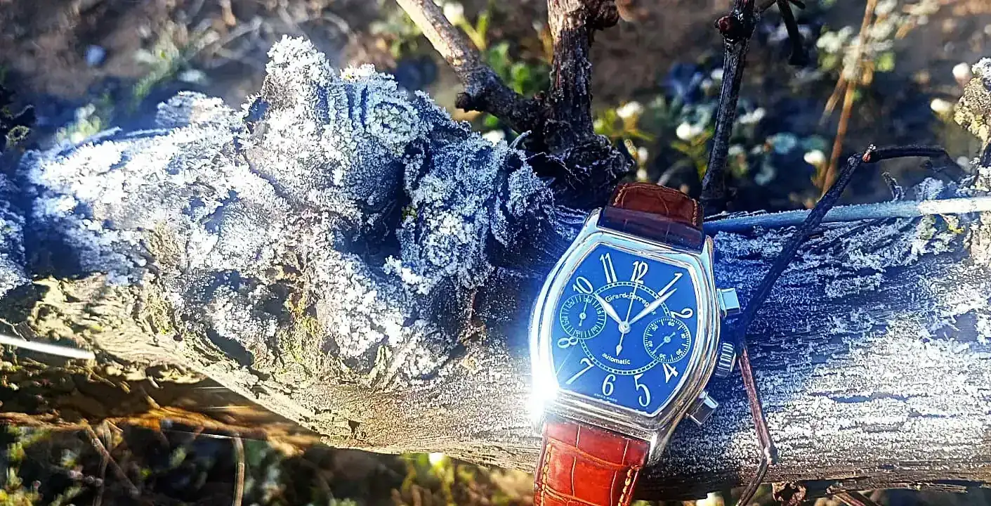 WhatsApp Image 2026-01-01 at 11.01.01.webp