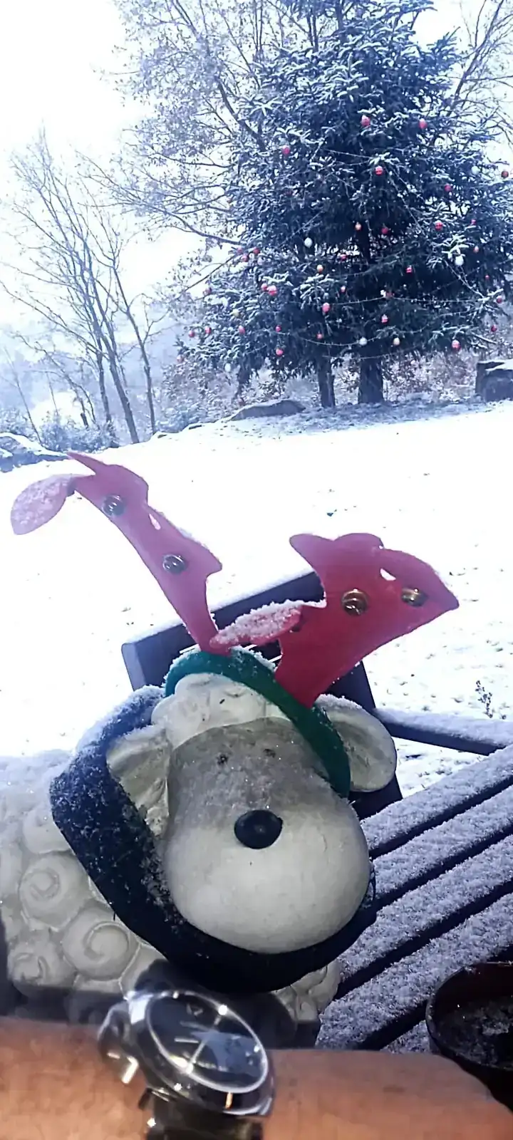 WhatsApp Image 2026-01-05 at 12.49.36.webp