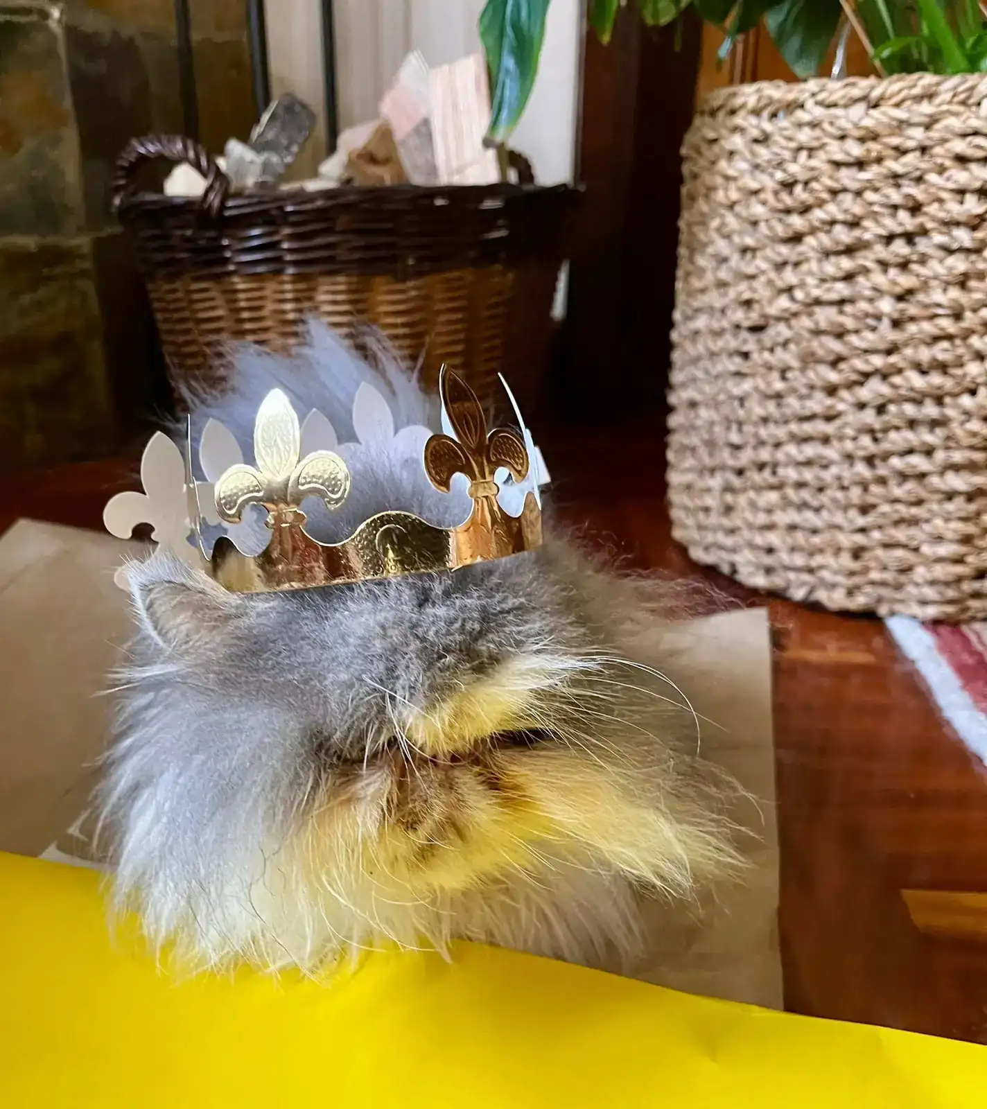 WhatsApp Image 2026-01-06 at 12.18.29.webp