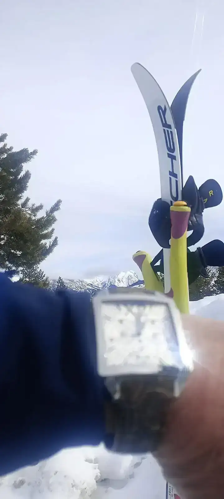 WhatsApp Image 2026-01-29 at 18.53.41.webp