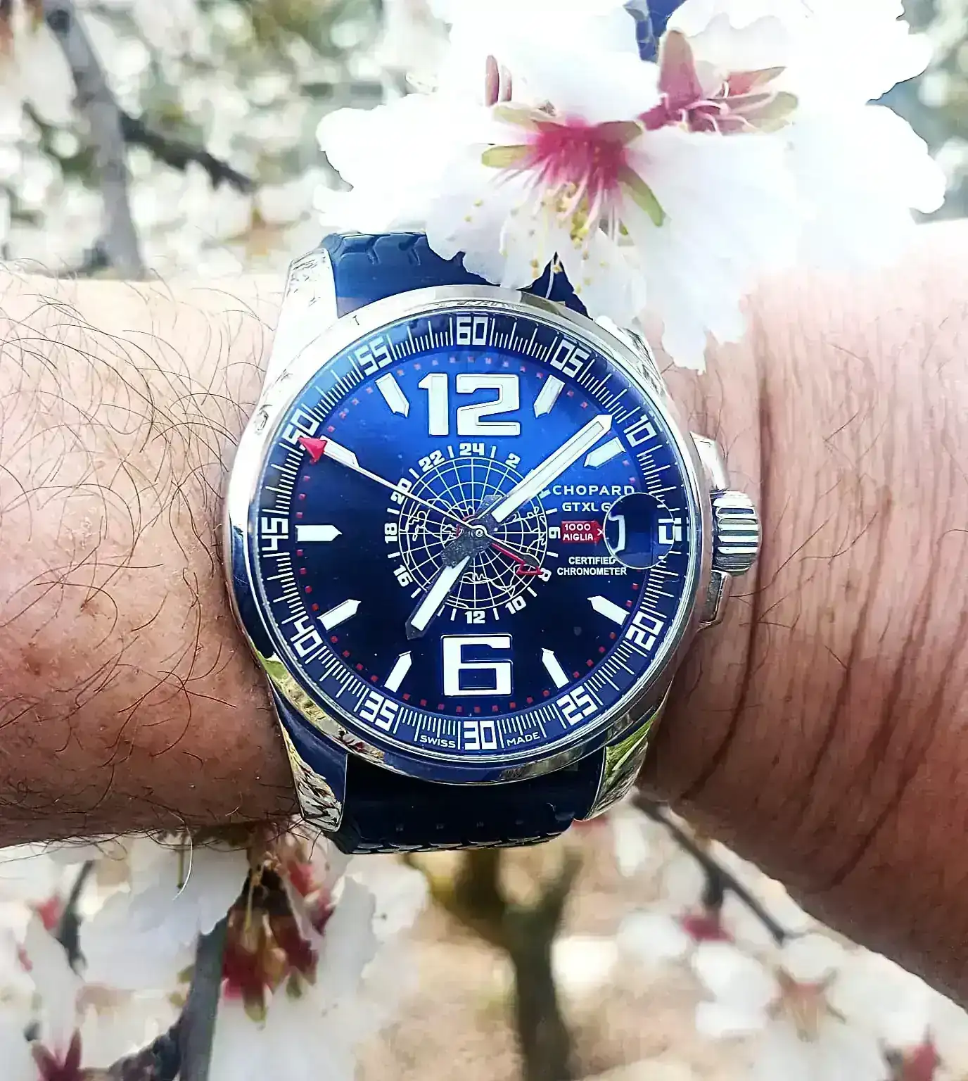 WhatsApp Image 2026-03-02 at 08.46.56.webp