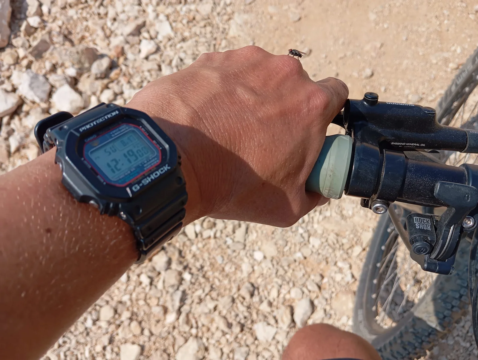 WhatsApp Image 2026-03-13 at 09.49.33 (1).webp