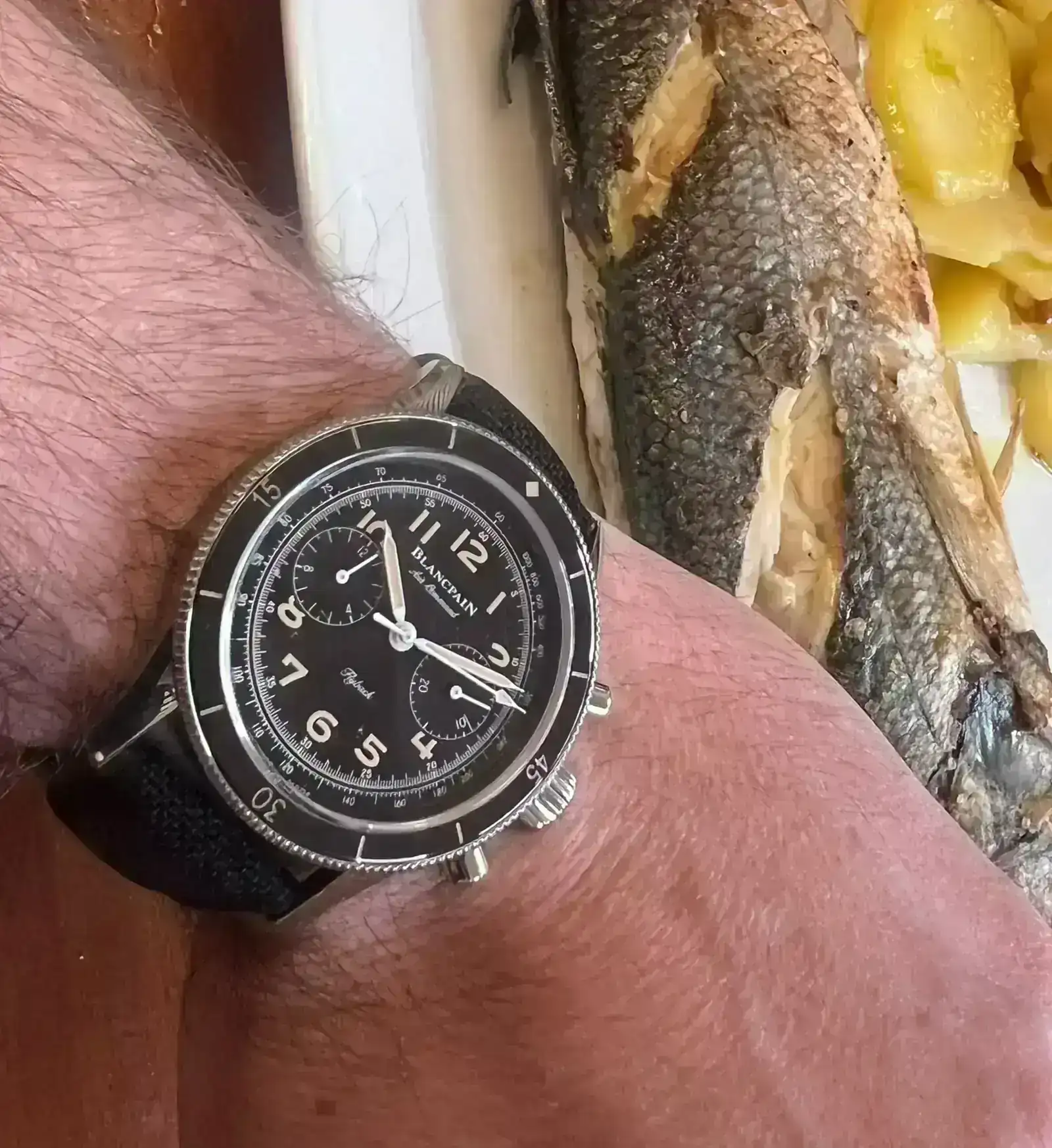 WhatsApp Image 2026-04-01 at 23.18.23.webp