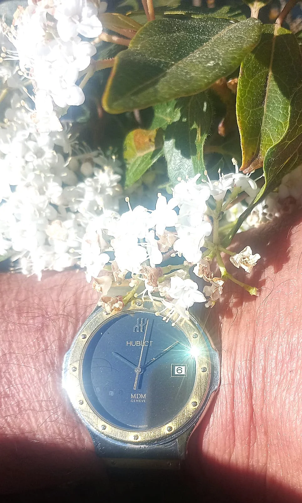 WhatsApp Image 2026-04-06 at 10.10.21.webp