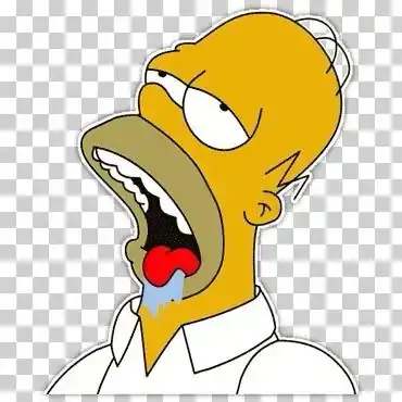 WhatsApp Image 2026-04-07 at 21.15.47.webp