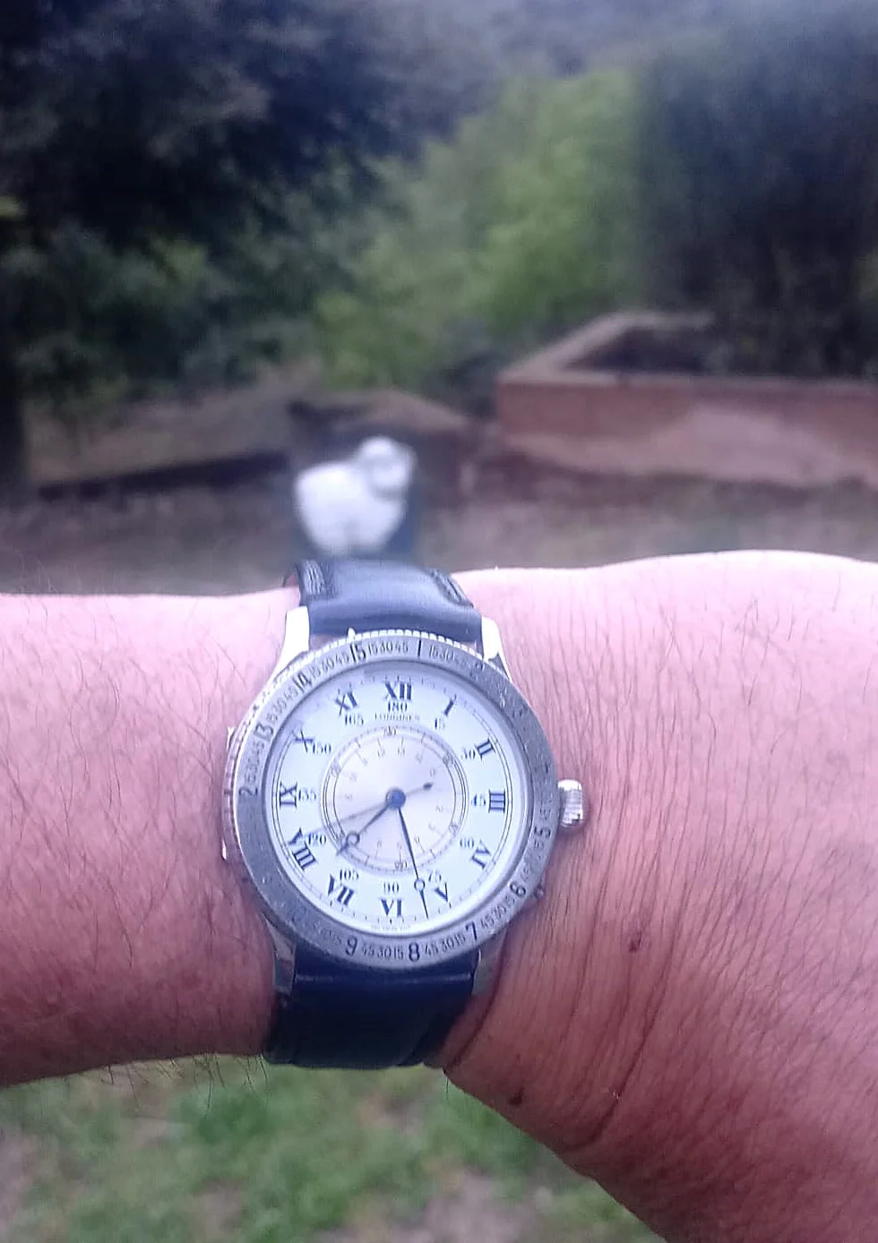 WhatsApp Image 2026-04-13 at 07.29.22.webp