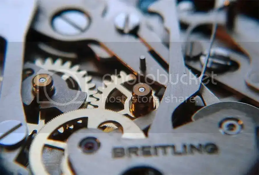 wheels5.webp