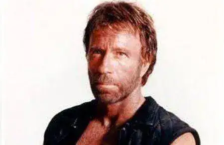 Where-is-Chuck-Norris-450x292.webp