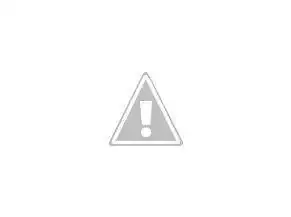 wHgt3jfIkfttxHFcpX1Y--P61vZjudZhaUw=w291-h217-p-no.webp