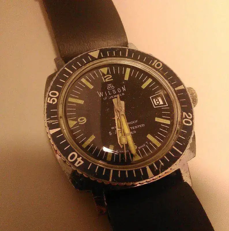 Wilson_Diver.webp