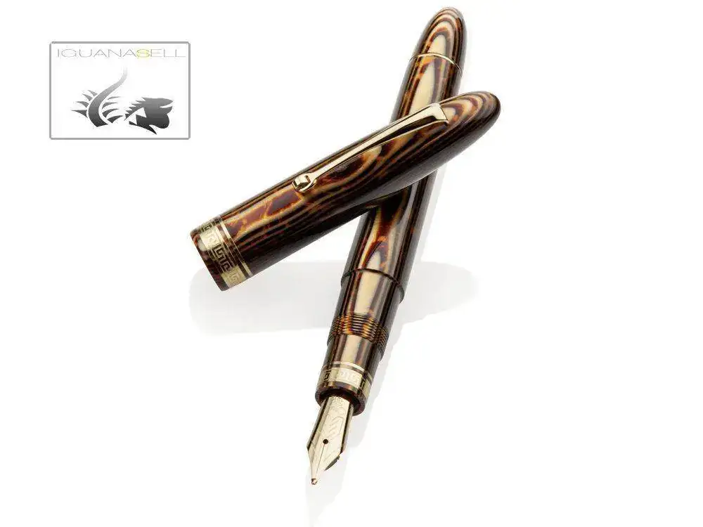 wn-Fountain-Pen-Celluloid-Gold-trim-Lim.-Edition-1.webp