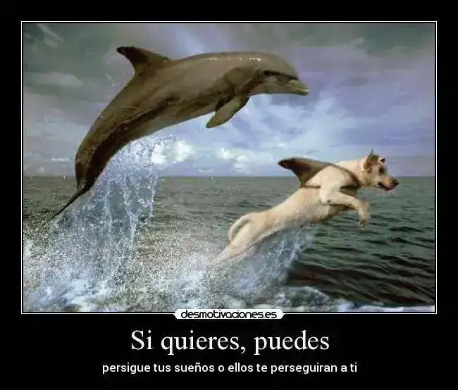 woqp0x.webp