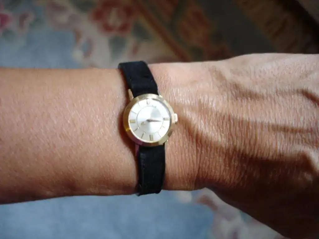 wristshot lejos.webp