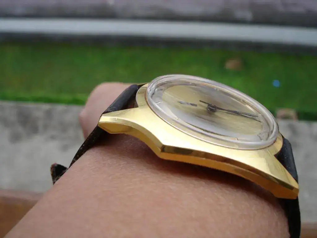 wristshot perfil.webp