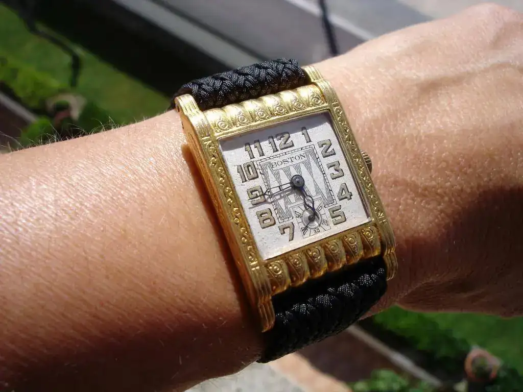 wristshot tarde.webp