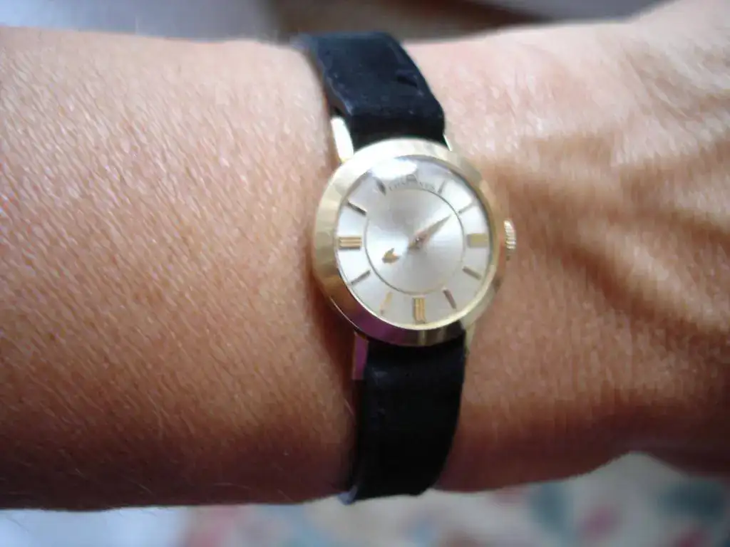 wristshot.webp