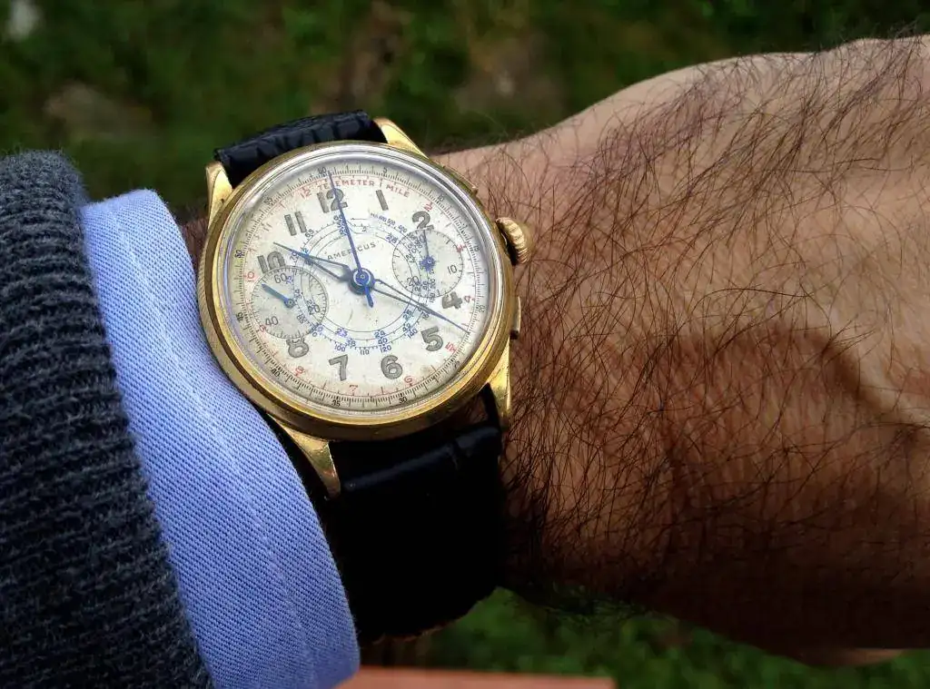 Wristshot.webp