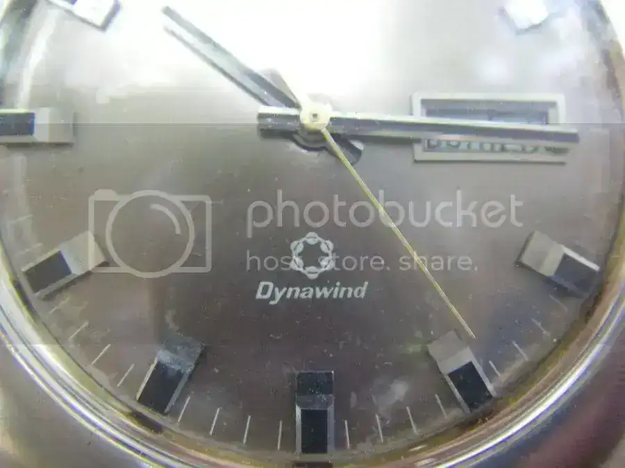 wylervettafjpg.webp