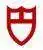 XD-tudor.webp
