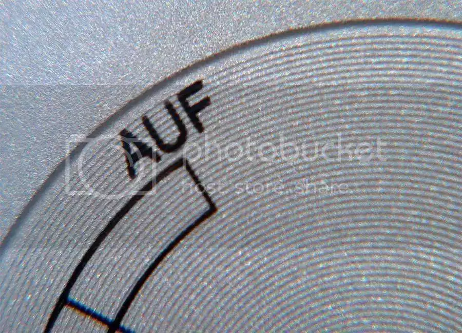 xeri-close-up-auf.webp