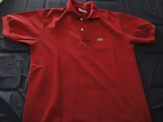 XNNg6j53_o.webp
