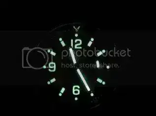 XZ5E1894-1.webp