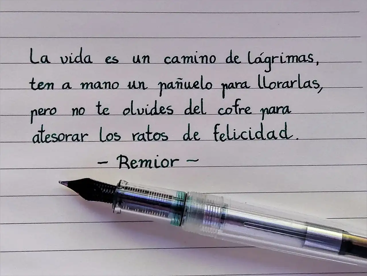 y9MInOs.webp
