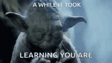 yodaworkingonproject.gif